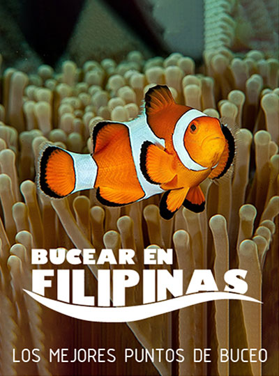mejores lugares de inmersion exprime filipinas