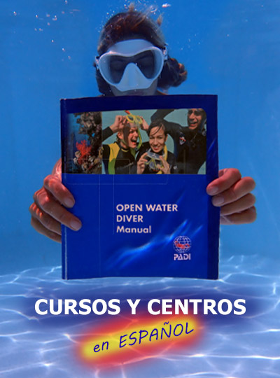 cursos de buceo en español en Filipinas